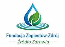 Fundacja Źródło Zdrowia Logo